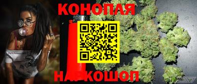 таблы Будённовск
