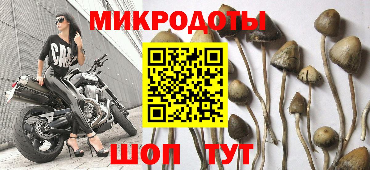 Галлюциногенные грибы мухоморы Тамбов
