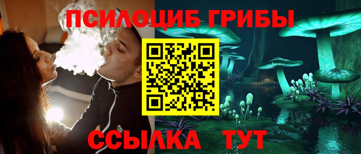 Галлюциногенные грибы MAGIC MUSHROOMS  Вход с VPN  Тамбов 